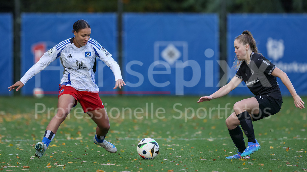Fussball, 2. Frauen-Bundesliga, Hamburger SV - Borussia Mönchengladbach | v.li.: Melina Krüger (Hamburger SV, 9) und Suus van der Drift (Borussia Mönchengladbach, 21) im Zweikampf, Duell, Dynamik, Aktion, Action, Spielszene, DIE DFB-RICHTLINIEN UNTERSAGEN JEGLICHE NUTZUNG VON FOTOS ALS SEQUENZBILDER UND/ODER VIDEOÄHNLICHE FOTOSTRECKEN. DFB REGULATIONS PROHIBIT ANY USE OF PHOTOGRAPHS AS IMAGE SEQUENCES AND/OR QUASI-VIDEO.
