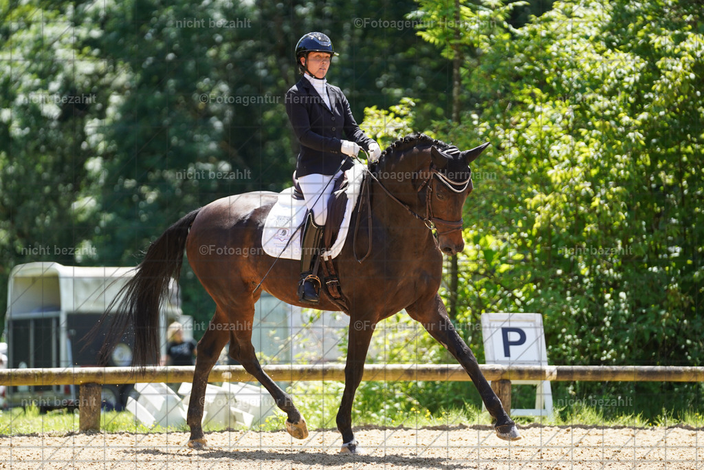20240705-FAH04112 | Turnierbilder von Grafing, Reitsportbilder, Turnierfotos, Turnierfotografen Bayern, Pferdefotograf, Fotoagentur Herrmann