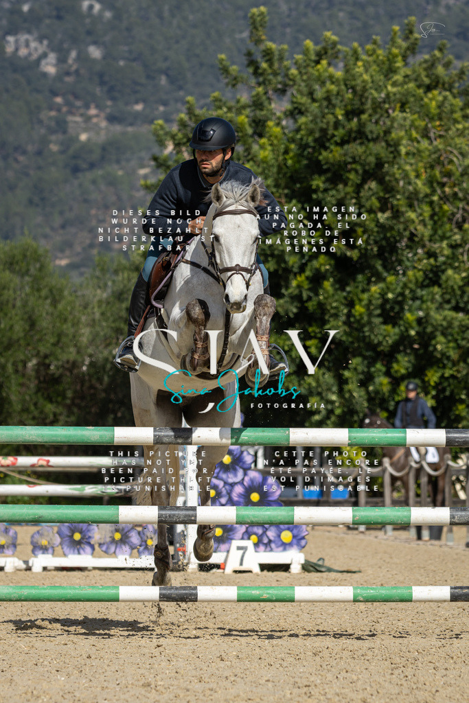 IMG_6671 | s-jay-photography - Realisiert mit Pictrs.com