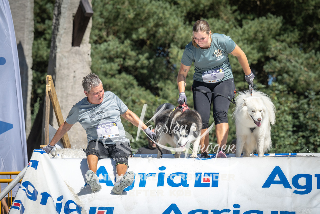 1316_ZZ99414 | kk-dogfotos