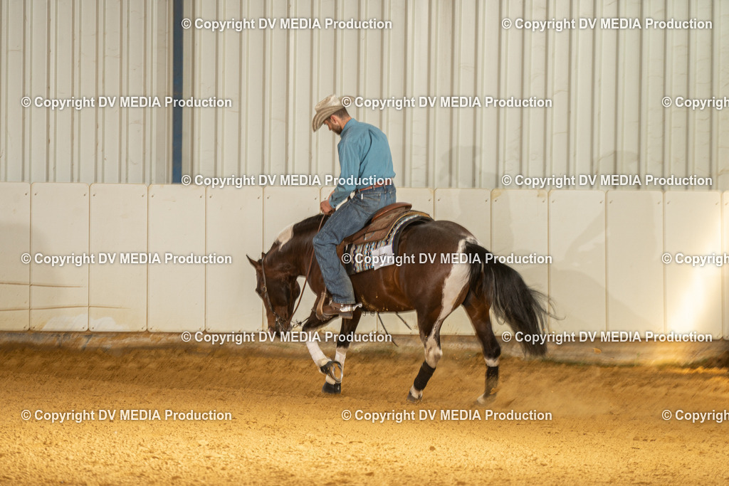 MIT01090 | dv-media-shop - Realisiert mit Pictrs.com