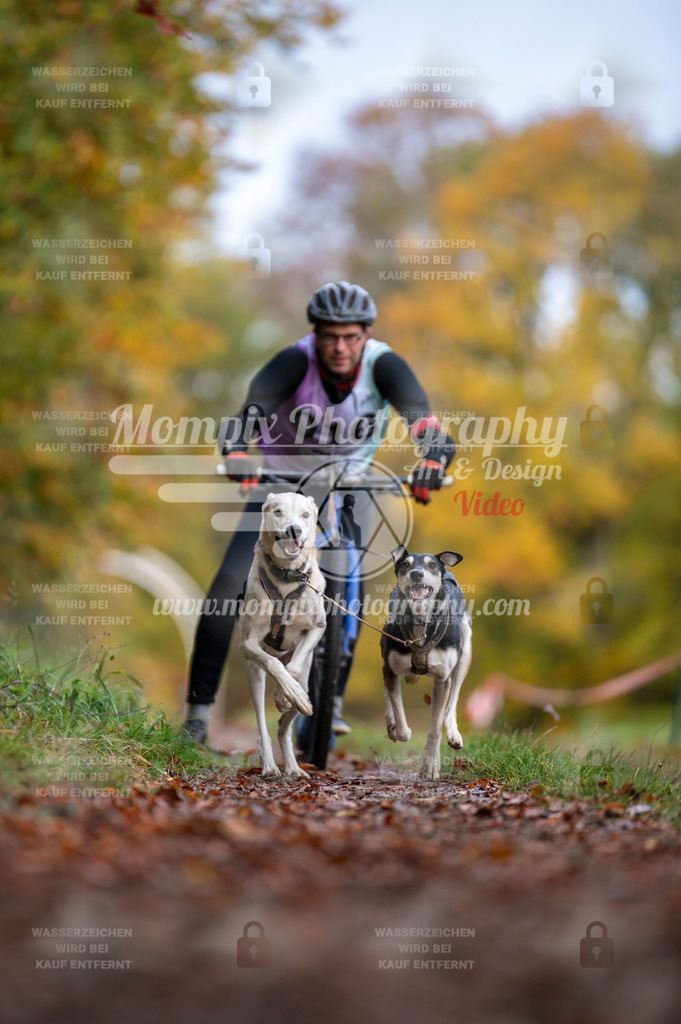 DBT_DAKM_SA_4_11_2023_DS2-50 | PayLife