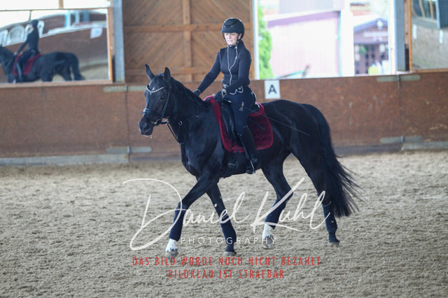 DKP42878 | Turniersportfotografie; Pferdefotografie; Dressurfotografie