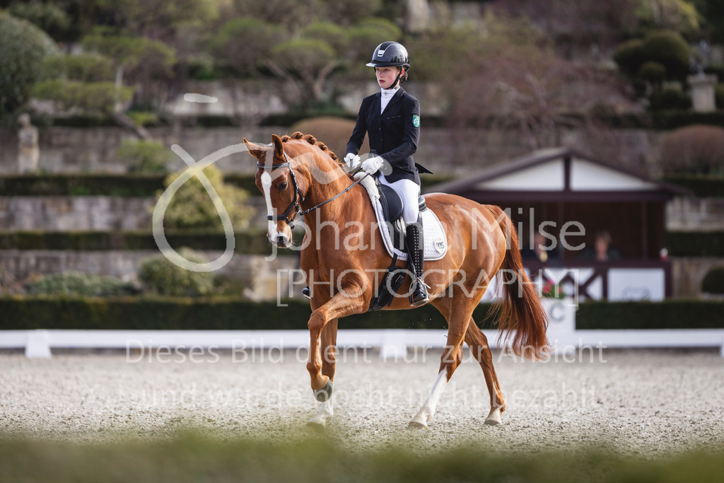 260411_Kronberg_Dressur-L-737 | Deine schönsten Turniermomente als professionelle Fotos! Entdecke hochwertige Pferdesport-Fotografie im Online-Shop. Jetzt Fotos finden & bestellen!