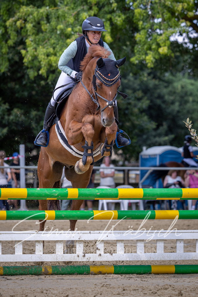 20260704-_3LI0247 | Tierfotografie Pferde, Hunde, Katzen, Haustiere.
Turnierfotografie Reitturniere, Reiten, Springreiten, Dressur in Hanau, dem Main-Kinzig-Kreis und dem Rhein-Main- Gebiet um Frankfurt