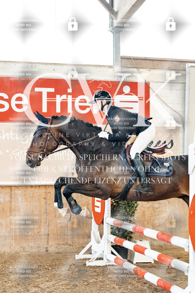 CK904554 | Turnierfotografie Pferdefotografie Trier Rheinland-Pfalz Pferdesport Reitsport Tierfotografie Sportfotografie Pferdevideo Pferdevideografie Equestrianvideography equestrianphotography  - Realized with Pictrs.com