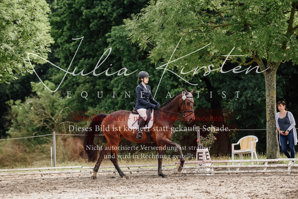 DSC_9627 | Pferde- und Turnierfotografie in Westsachsen. Pferdeportraits, Auftragszeichnungen und intuitive Kunst.