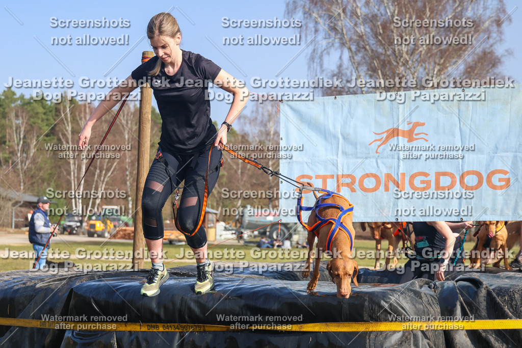 Dog Paparazzi - Strongdog North Mrz26-2895 | Dog Paparazzi Jeanette Grottendiek Fotografie & Videografie - Realisiert mit Pictrs.com