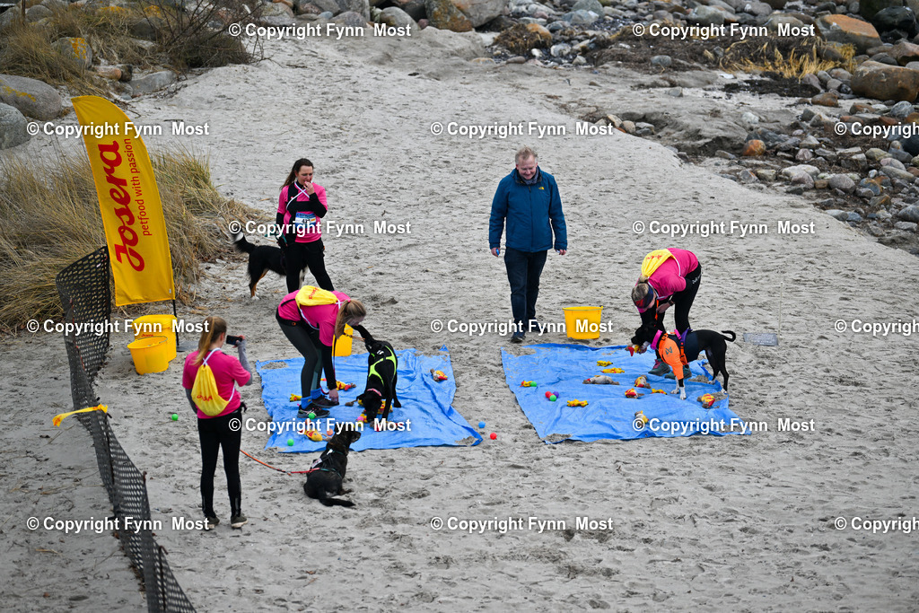 DSC_1681 | Hallo und herzlich Willkommen auf meiner Shop-Seite Fynn Most.

Ich wünsche Dir viel Spaß beim stöbern durch die Bilder, wenn Du Fragen hast oder Bilder vermisst, kannst du mir gerne eine Nachricht schreiben. - Realisiert mit Pictrs.com
