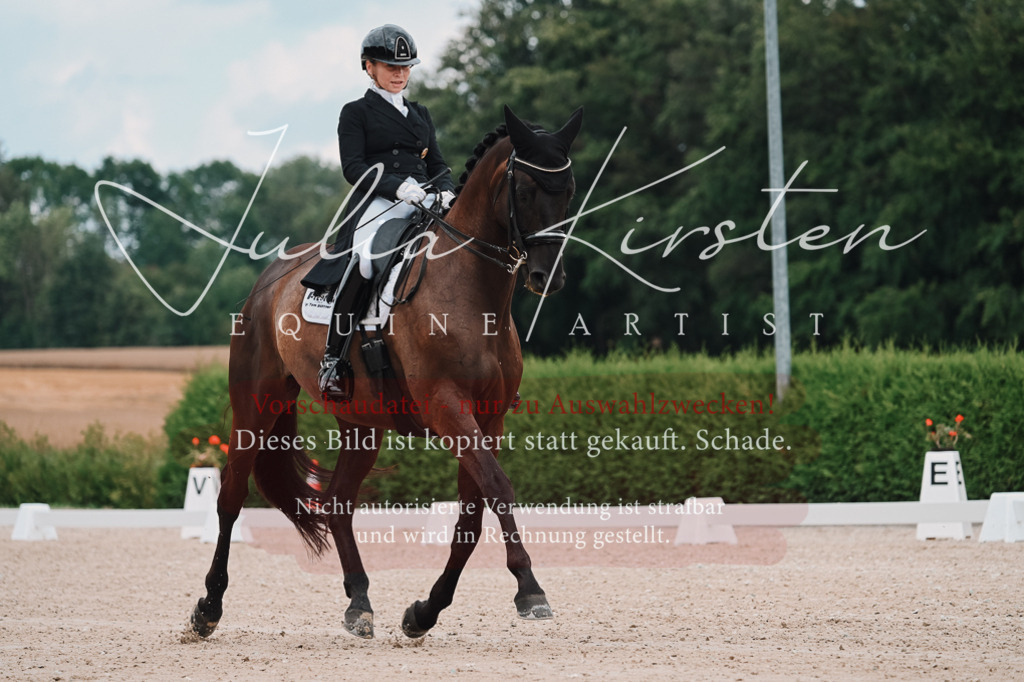 DSC_4151 | Pferde- und Turnierfotografie in Westsachsen. Pferdeportraits, Auftragszeichnungen und intuitive Kunst.