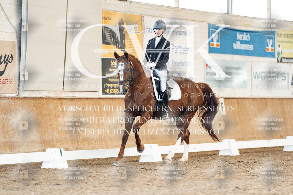 CK908556 | Turnierfotografie Pferdefotografie Trier Rheinland-Pfalz Pferdesport Reitsport Tierfotografie Sportfotografie Pferdevideo Pferdevideografie Equestrianvideography equestrianphotography  - Realisiert mit Pictrs.com