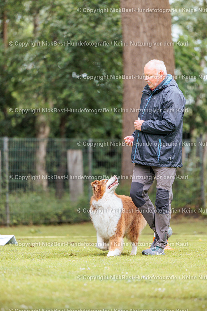 RO-Blumenthal-2026-Nickbest-Hundefotografie-0706 | Dein Hund! Dein Moment! Deine Erinnerungen! Hundefotografie in Bremen Blumenthal. Ich fange die besonderen Momente deines Vierbeiners ein – ob Indoor mit Blitzanlage oder in der freien Natur. Sicher dir dein Moment und dein Termin für eure Erinnerungen.