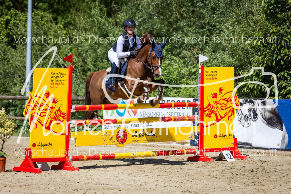 Donop24-Stil-L-071 | MomenTaufnahmen Pferdesportfotos