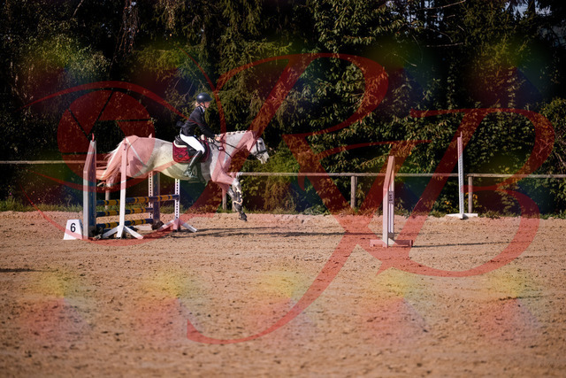 2026_10_03_Siefer-Hof_155157_Z81_71341200 | Professionelle Reitsport-, Turnier- und Eventfotografie von Robert Broda. Galerien mit ausgewählten und bearbeiteten Bildern direkt online ansehen und bestellen.