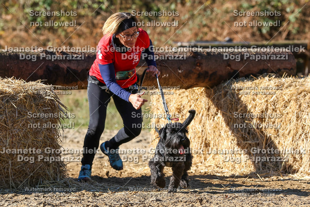 Dog Paparazzi - Strongdog 10-25-2521 | Dog Paparazzi Jeanette Grottendiek Fotografie & Videografie - Realisiert mit Pictrs.com