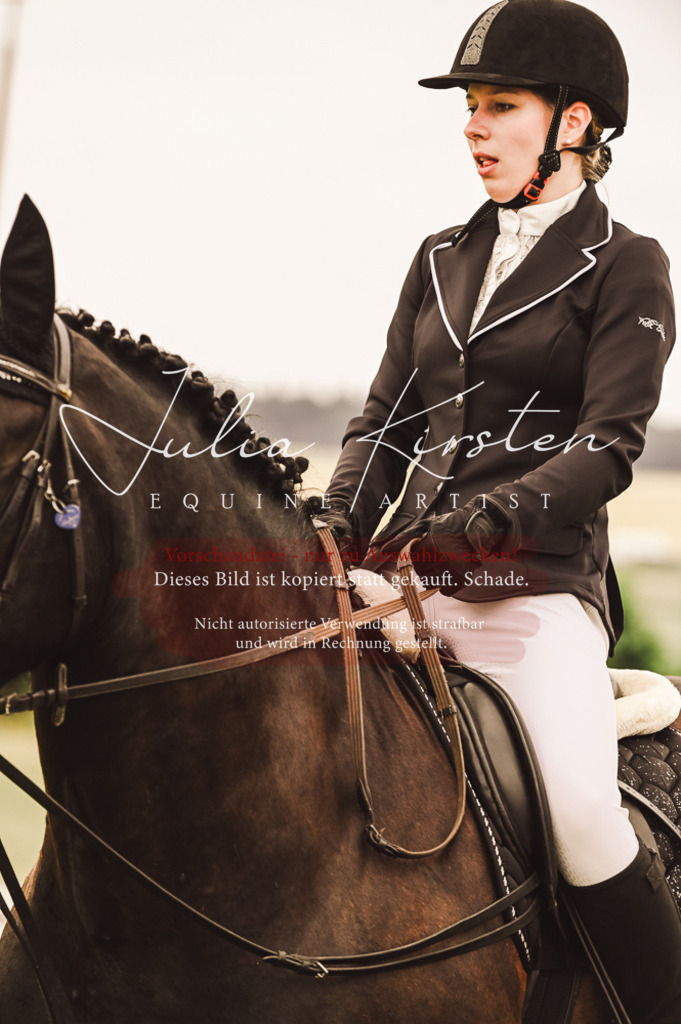 DSC_5020 | Pferde- und Turnierfotografie in Westsachsen. Pferdeportraits, Auftragszeichnungen und intuitive Kunst.