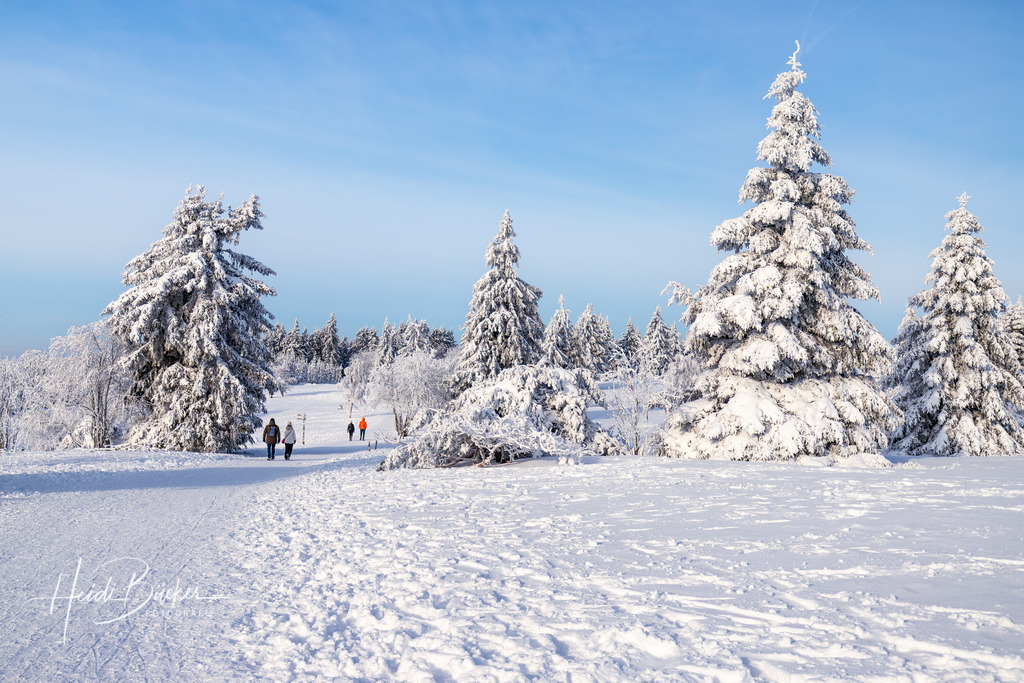 Winterlandschaft auf dem Kahlen Asten | Bilder und Impressionen zu jeder Jahreszeit aus dem Sauerland im Naturpark Sauerland-Rothaargebirge - Realisiert mit Pictrs.com