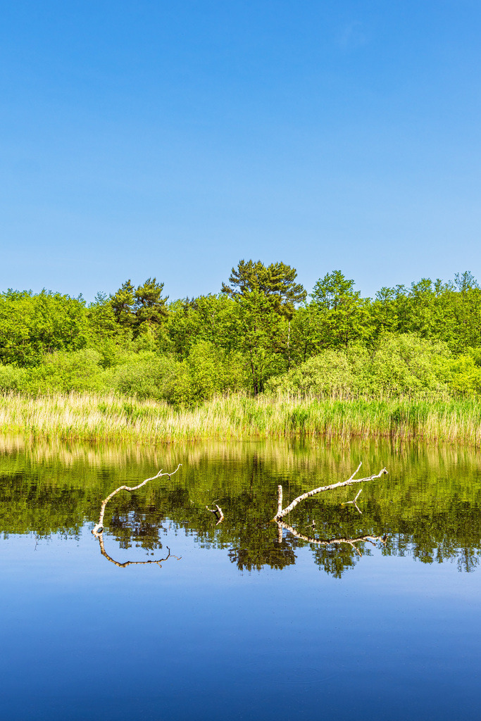 Prerowstrom im Ostseebad Prerow auf dem Fischland-Darß | Prerowstrom im Ostseebad Prerow auf dem Fischland-Darß.