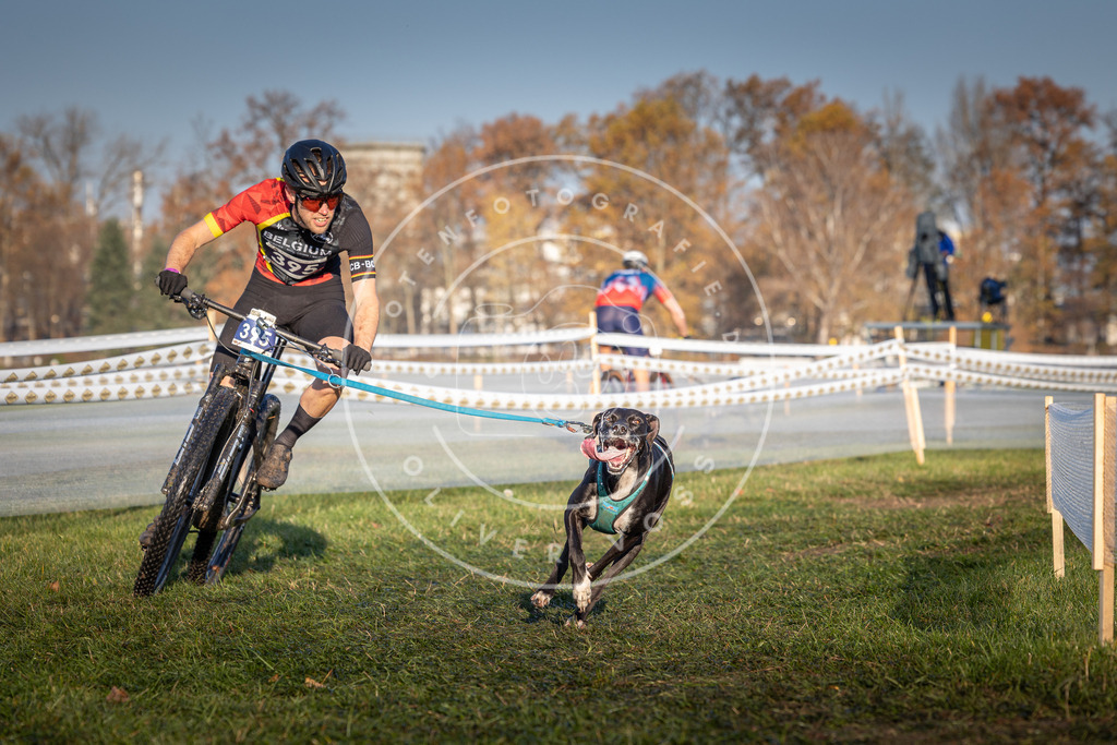 CaniXpix_0L8A3894 | Hundefotografie, Tierfotograf, Pfotenfotografie, Fotoshooting Hund, Hunde Portrait, Hundesport, Hundeportraits, Heideshooting, Hunde, Sportfotograf, Hundefotograf, Turnierhundsport, THS,  - Realisiert mit Pictrs.com