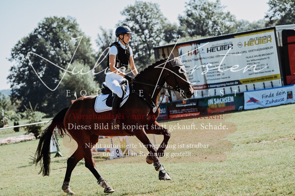 DSC_5592 | Pferde- und Turnierfotografie in Westsachsen. Pferdeportraits, Auftragszeichnungen und intuitive Kunst.