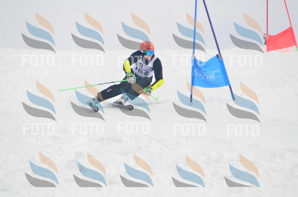 A6249 | holidayphoto