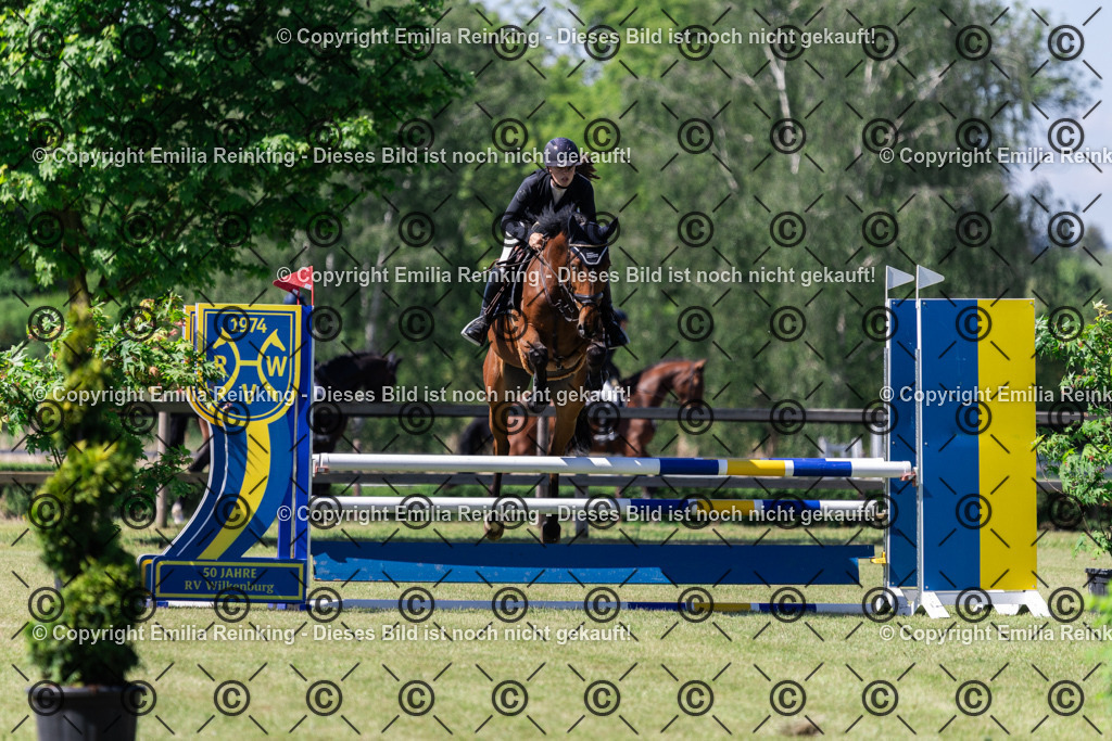 CL5A8329 | Emilia Reinking Fotografie - Realisiert mit Pictrs.com