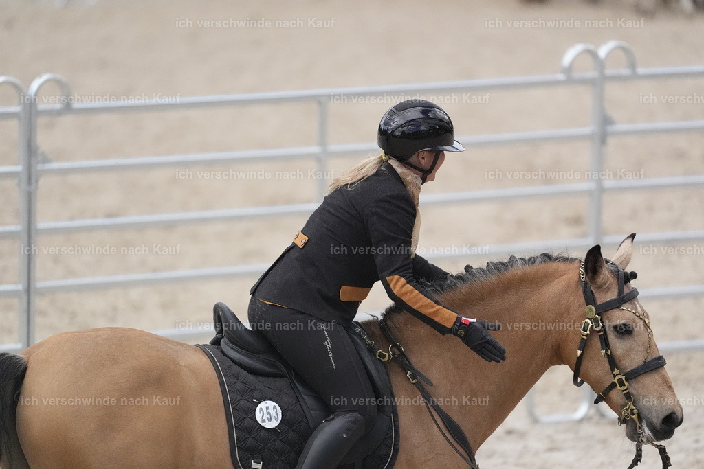 PI26_COW_Stoibphotography_DSC6083.JPG | working equitationturnier fotograf videograf stoibphotography marixx film working equitation deutschland reitsport turnierfotografie eventfotografie equestrian events