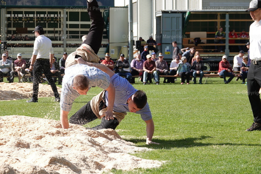 DSC00403 | Schwingen - Realisiert mit Pictrs.com