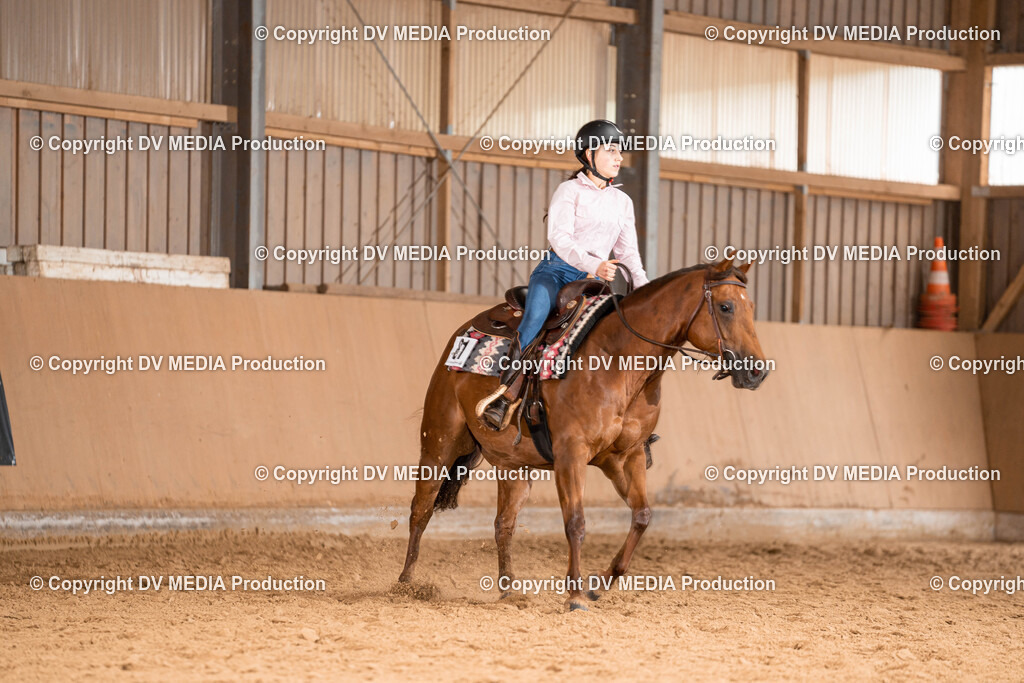 Losheim Tag 1-535 | dv-media-shop - Realisiert mit Pictrs.com