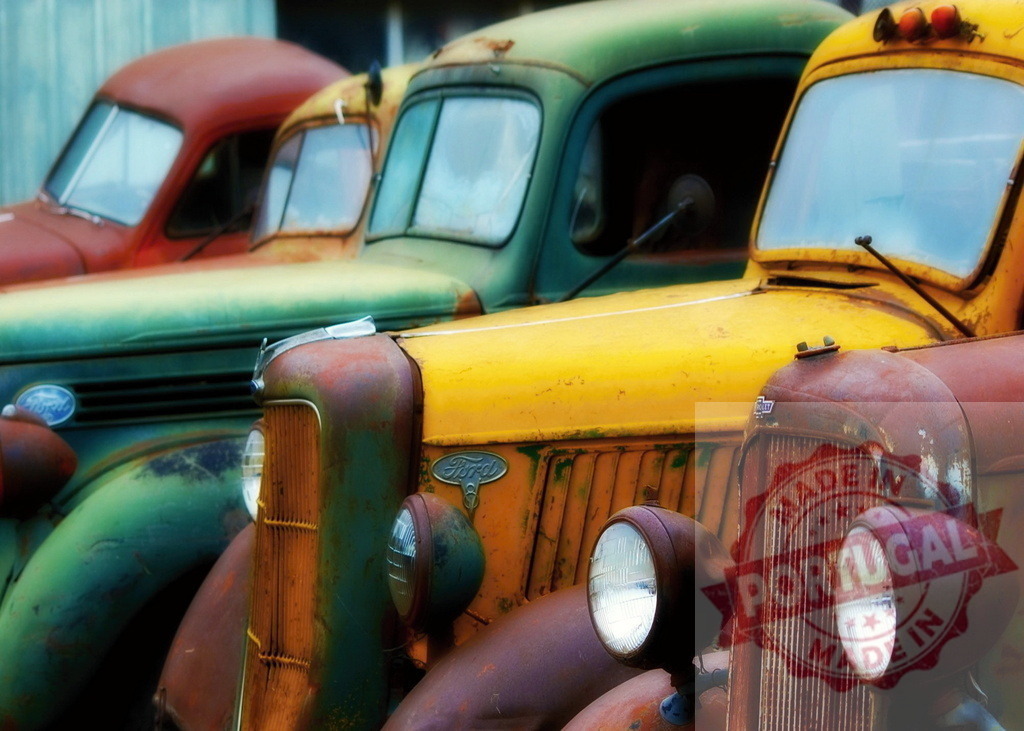 Row of colorful vintage rusted Ford trucks | Classic abandoned Ford trucks showing rust, age, and vibrant colors - Realized with Pictrs.com