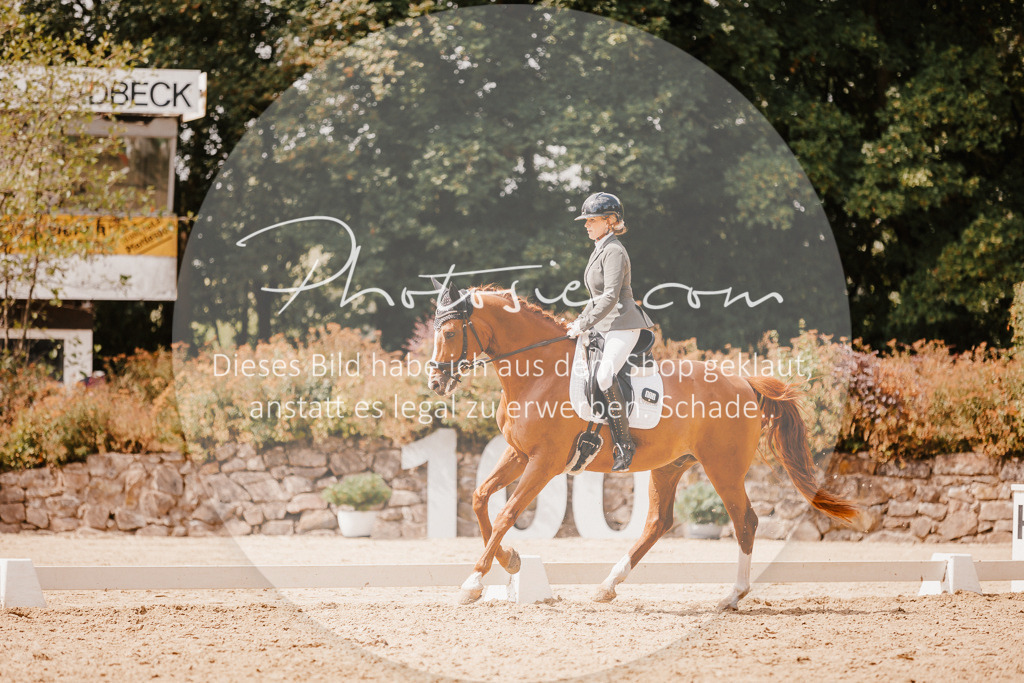 3I6A6054 | Stimmungsvolle Portraits und Reitsportfotografie im Ruhrgebiet und im Münsterland.

Pferdefotografie, Hundefotografie, Tierfotografie, Reportagen, Portraits von Tier und Mensch, Turnierfotografie in Bochum, Recklinghausen, Marl, Haltern am See, Dülmen.. - Realisiert mit Pictrs.com