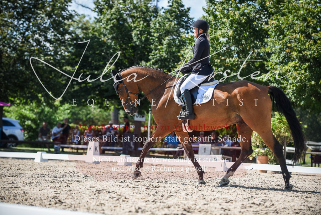 DSC_9668 | Pferde- und Turnierfotografie in Westsachsen. Pferdeportraits, Auftragszeichnungen und intuitive Kunst.