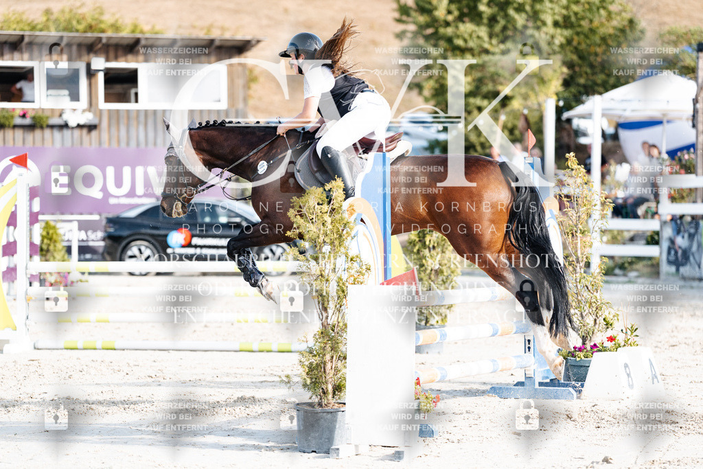 CK909582 | Turnierfotografie Pferdefotografie Trier Rheinland-Pfalz Pferdesport Reitsport Tierfotografie Sportfotografie Pferdevideo Pferdevideografie Equestrianvideography equestrianphotography  - Realisiert mit Pictrs.com