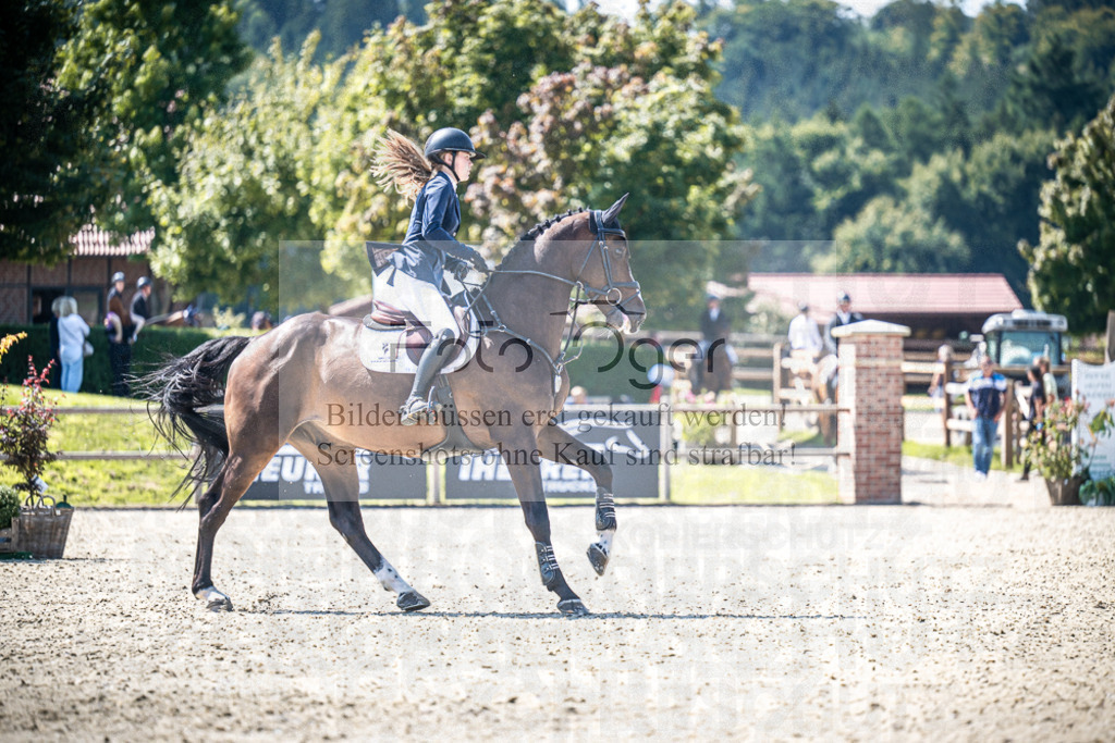 DOS_4825 | Entdecke hochwertige Reitturnierfotos von Foto Oger. Professionell, emotional und authentisch – jetzt Lieblingsmomente im Shop bestellen.Deutschlandweite Turnierfotografie. - Realisiert mit Pictrs.com