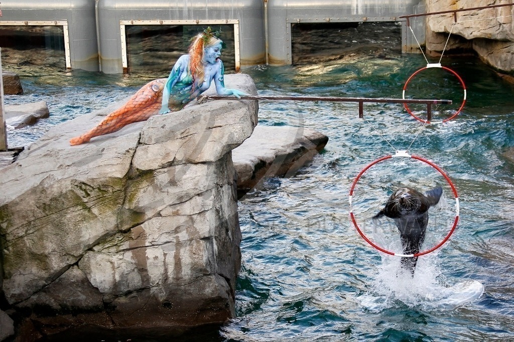 AnimalArt-SEELÖWE_0587 | #004 | Modell: Daniela | Foto: Tschiponnique Skupin - Realisiert mit Pictrs.com