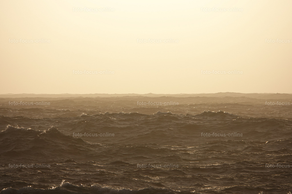 43 | foto-focus-online