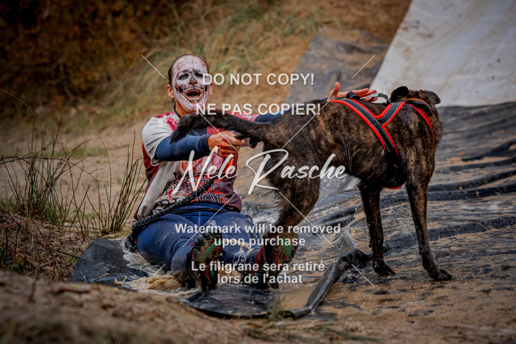 nelerasche_Creepy2025_So0900-1000_245 | nelerasche
