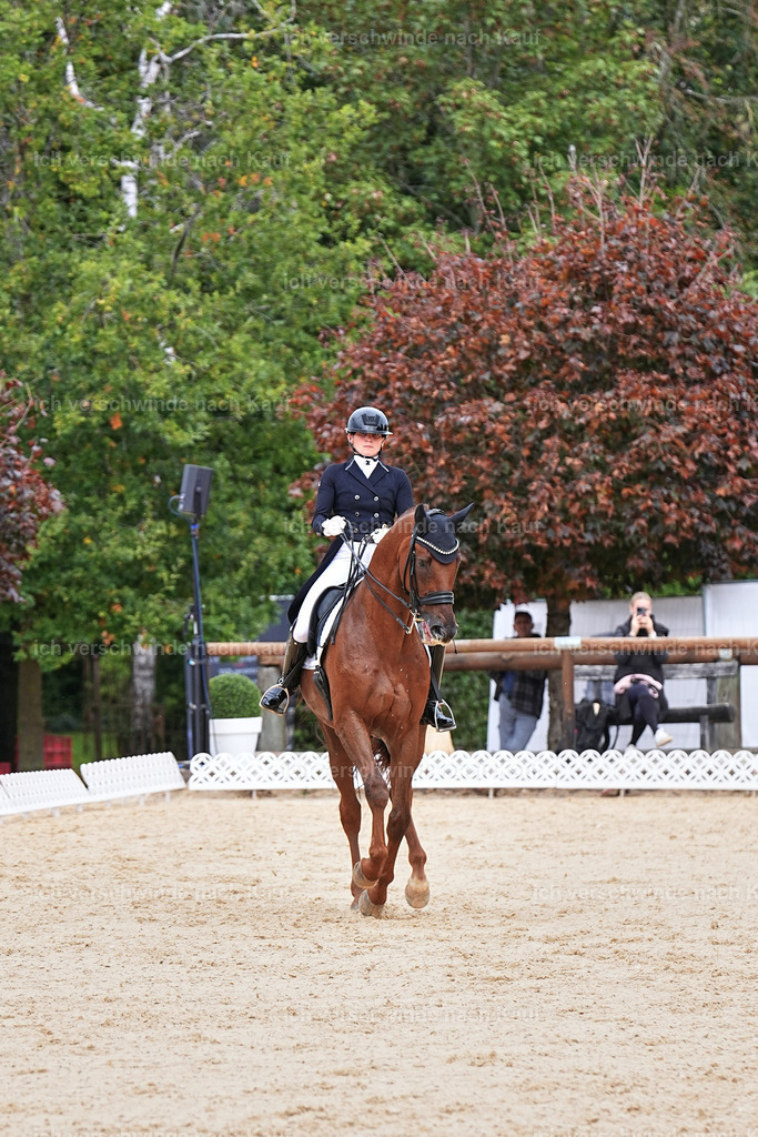 11-141-Dressur S___-Marixx-1834 | working equitationturnier fotograf videograf stoibphotography marixx film working equitation deutschland reitsport turnierfotografie eventfotografie equestrian events