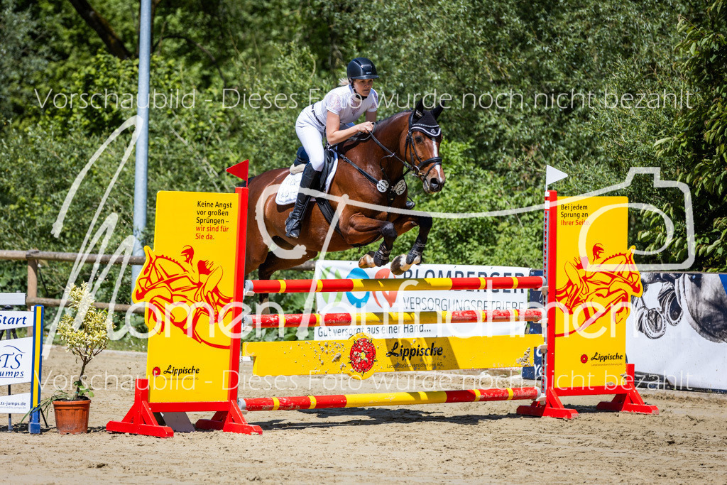 Donop24-Stil-L-014 | MomenTaufnahmen Pferdesportfotos