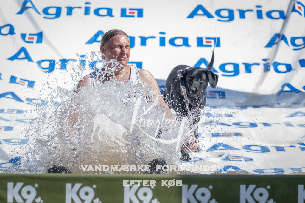 1136_ZZ92901 | kk-dogfotos