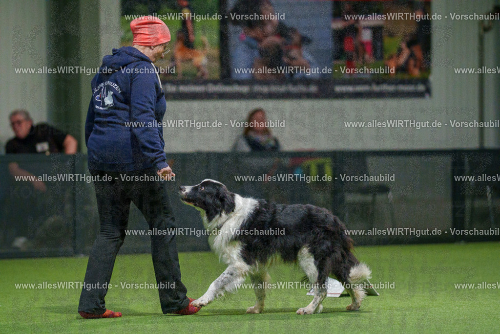 7R504577 | Professionelle Tierfotografie in Mönchengladbach von Daniel Wirth (allesWIRTHgut). Liebevolle & natürliche Bilder von Hunden & Katzen für unvergessliche Erinnerungen.