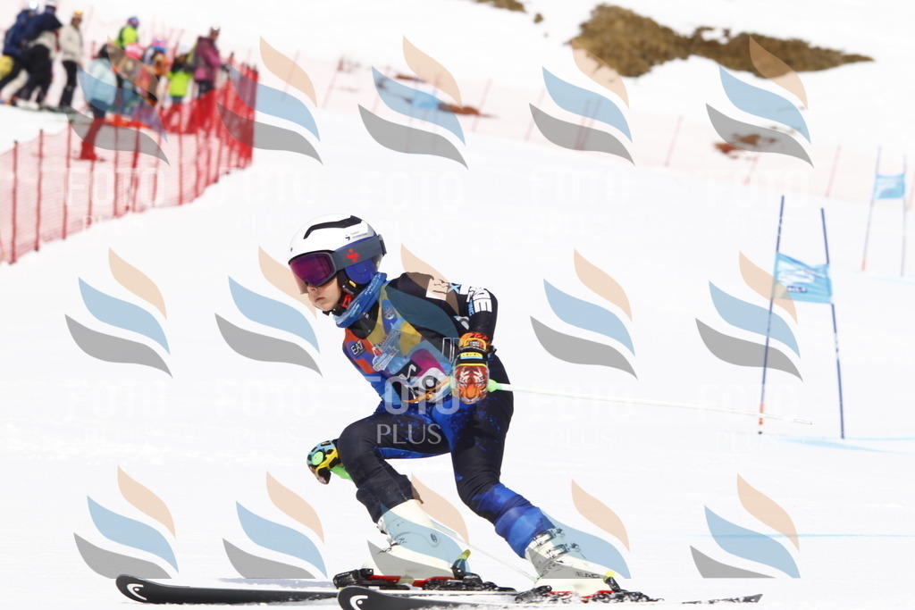 _U3G5401 | holidayphoto