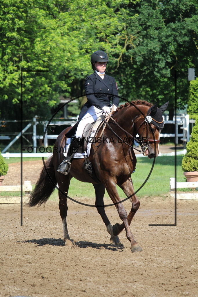 IMG_6657 | franziskalange - Realisiert mit Pictrs.com