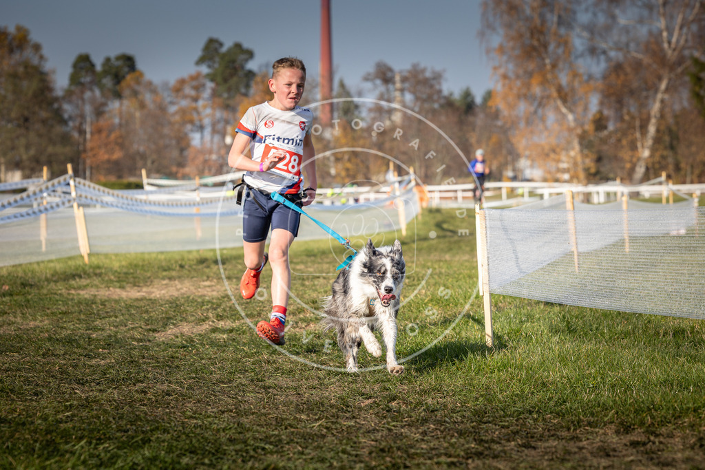 CaniXpix_0L8A8776 | Hundefotografie, Tierfotograf, Pfotenfotografie, Fotoshooting Hund, Hunde Portrait, Hundesport, Hundeportraits, Heideshooting, Hunde, Sportfotograf, Hundefotograf, Turnierhundsport, THS,  - Realisiert mit Pictrs.com