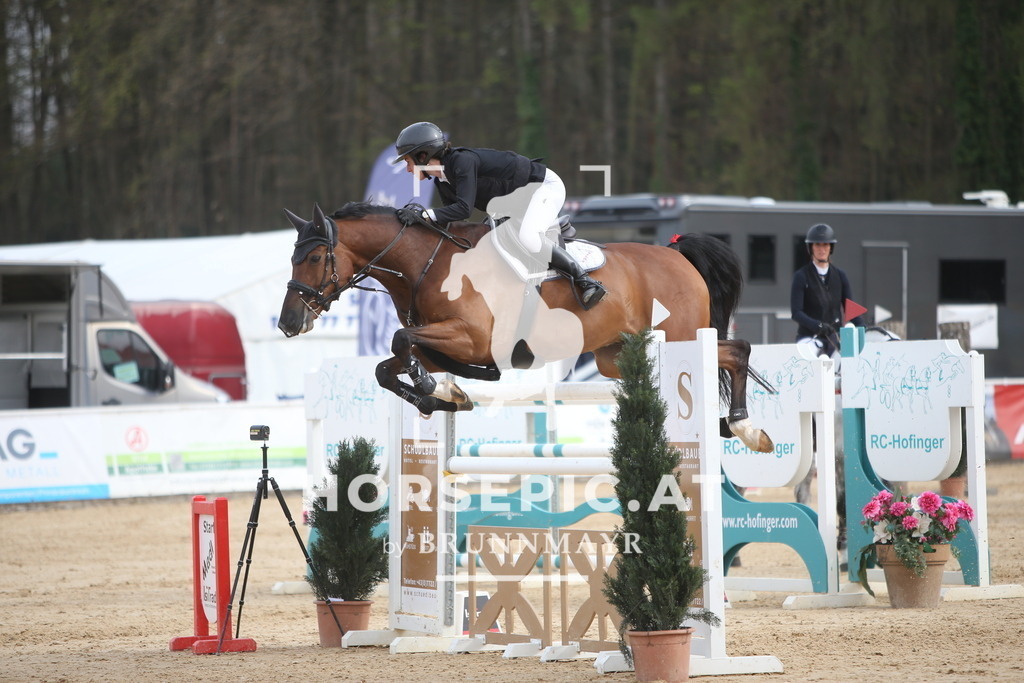 PP018535 | Willkommen bei Brunnmayr - Design & Fotografie – Ihrem Spezialisten für Reitturniere und Pferdeveranstaltungen in Oberösterreich, Salzburg und Bayern! Seit über 17 Jahren sind wir leidenschaftlich dabei.