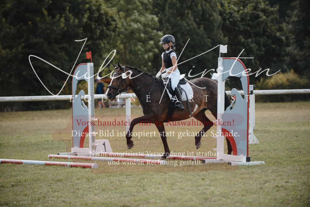 DSC_5269 | Pferde- und Turnierfotografie in Westsachsen. Pferdeportraits, Auftragszeichnungen und intuitive Kunst.