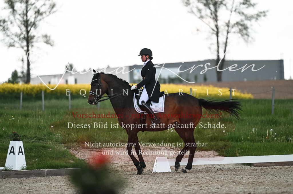 20230514_JK-Röhrsdorf-21-503 | Pferde- und Turnierfotografie in Westsachsen. Pferdeportraits, Auftragszeichnungen und intuitive Kunst.