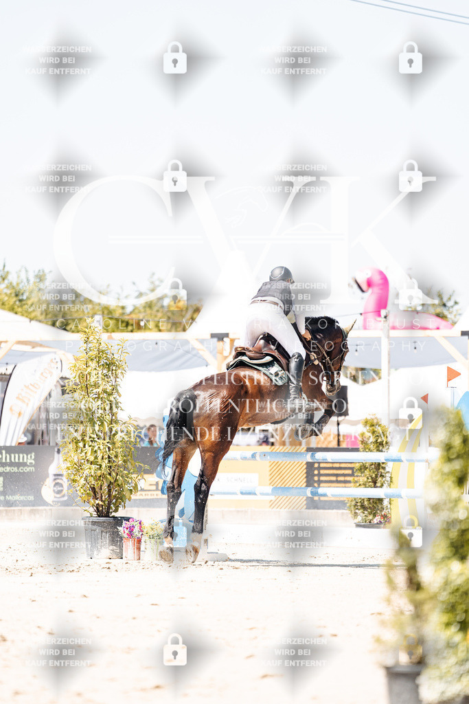 CK900029 | Turnierfotografie Pferdefotografie Trier Rheinland-Pfalz Pferdesport Reitsport Tierfotografie Sportfotografie Pferdevideo Pferdevideografie Equestrianvideography equestrianphotography  - Realisiert mit Pictrs.com