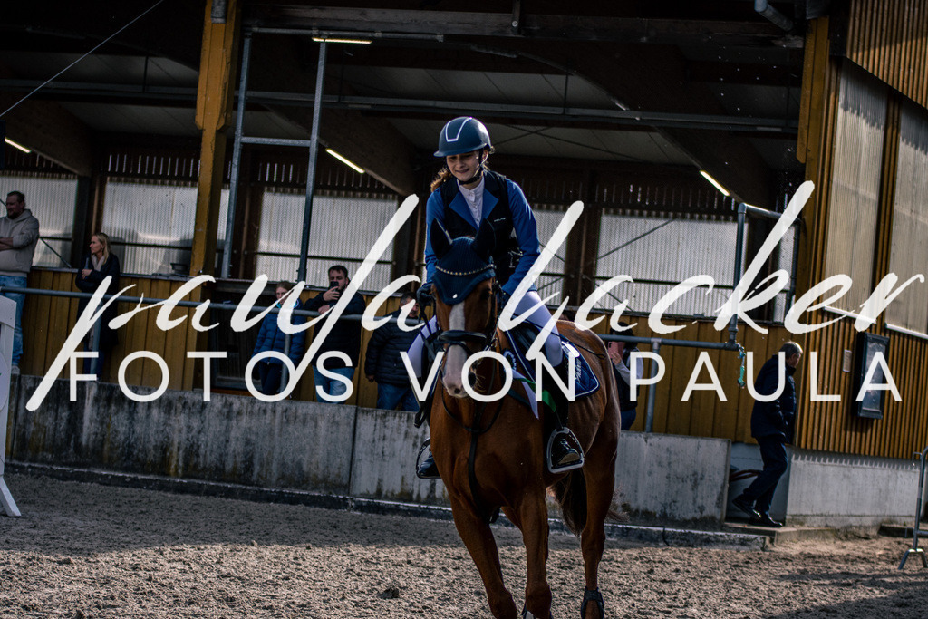 IMG_5655 | Erleben Sie dynamische Sport- und emotionale Tierfotografie in Süddeutschland mit Fotos von Paula. Spezialisiert auf Pferde- und Hundefotografie sowie Sportevents. Kontaktieren Sie mich für einzigartige und ausdrucksstarke Bilder Ihrer besonderen Momente. - Realisiert mit Pictrs.com