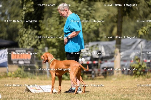 _DSC6310 | levihelfersfotografie
